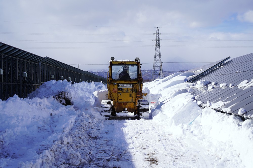 除雪作業】ブルドーザーで一気に除雪しています！／TECHNICAL YIELD