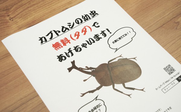 【終了】十勝管内の子供達にカブトムシの幼虫を配布します！